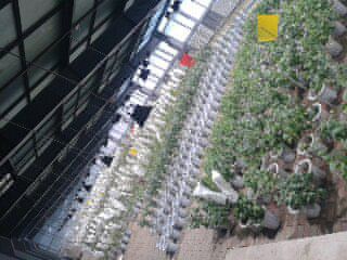 沈陽農業(yè)大學實驗基地（冷庫）