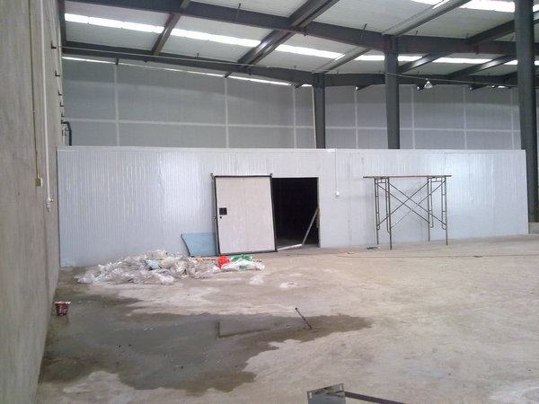 吉林豆芽生產基地