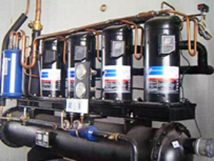 食用菌工廠化生產